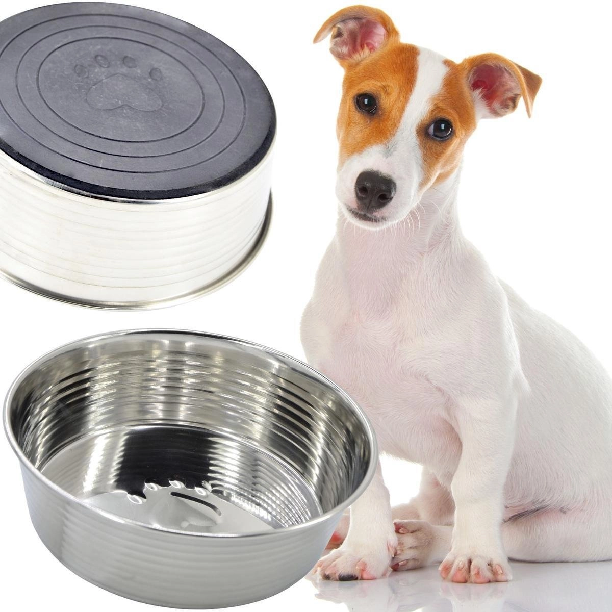 Dogs Collection MISKA DLA PSA I