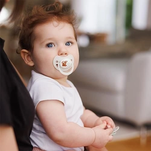 BABY ONO 1670/02 ANATOMICAL SILICONE TEATS