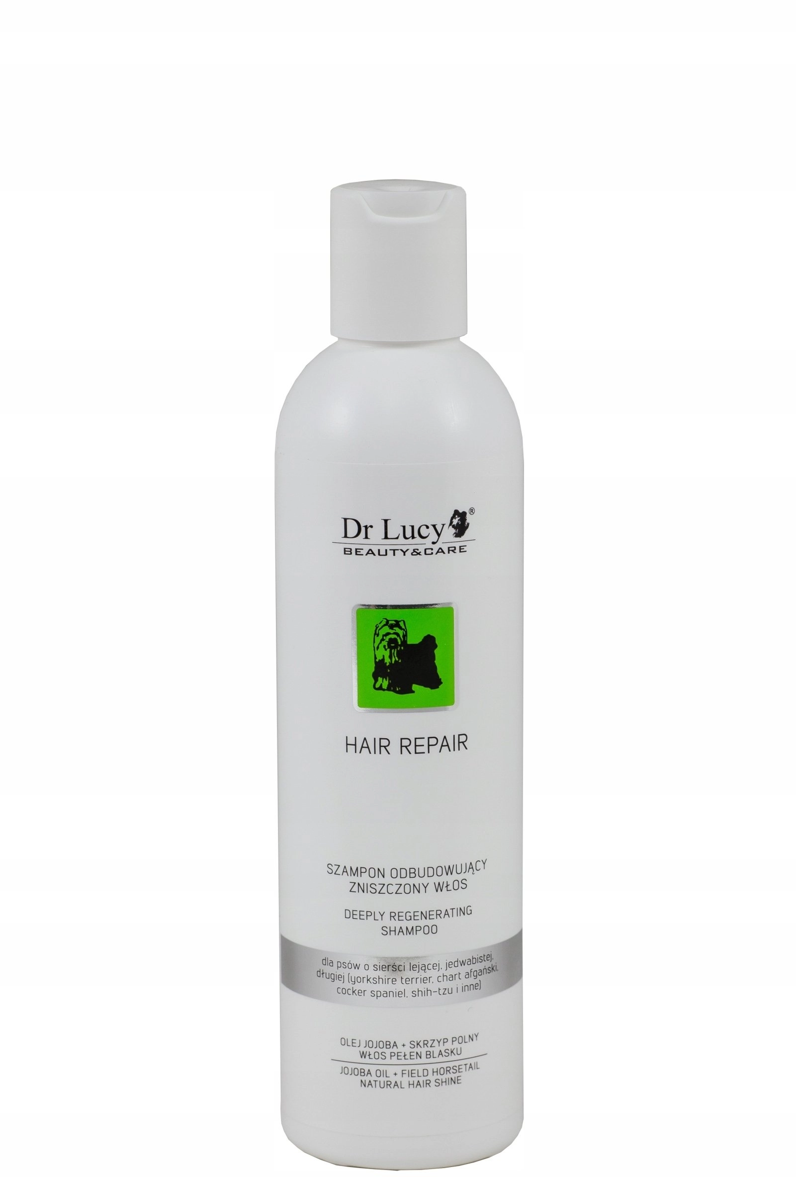DR LUCY PRO HAIR REPAIR SHAMPOO