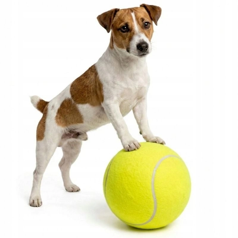 TENNIS BALL XL DIAMETER 22CM 15822271