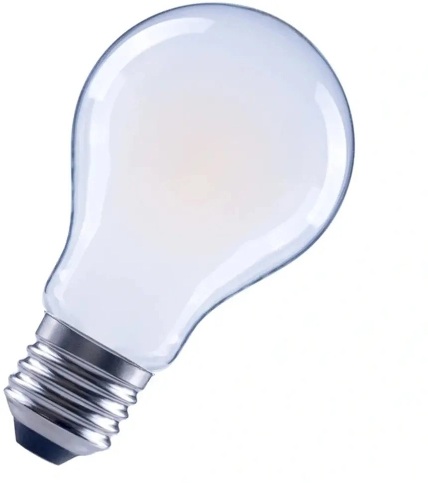 Eco-Light LED bulb VALUE CLASSIC E27