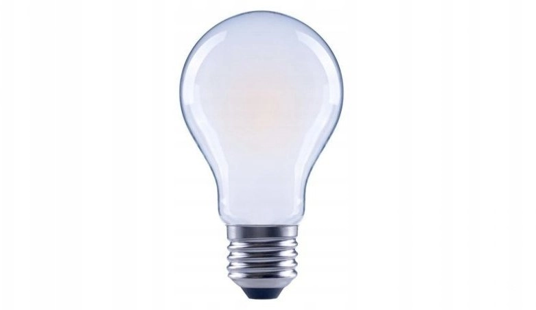 Eco-Light LED bulb VALUE CLASSIC E27