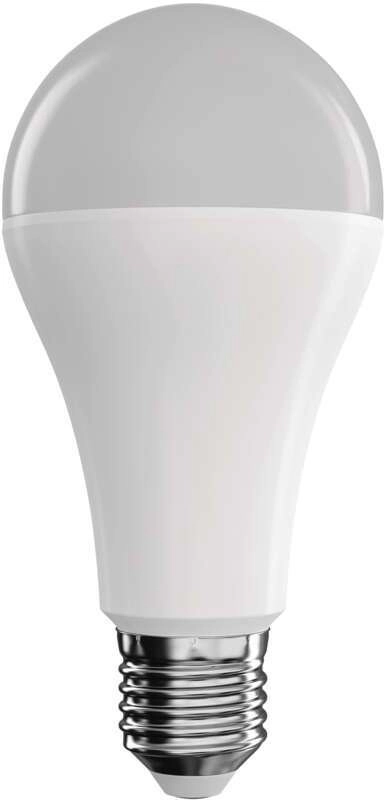 GoSmart LED bulb A65 / E27