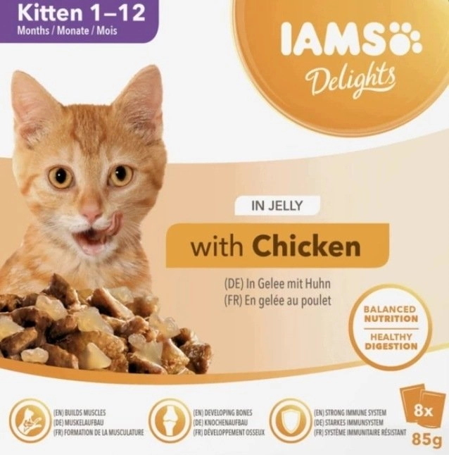 IAMS DELIGHTS Kitten in Jelly box