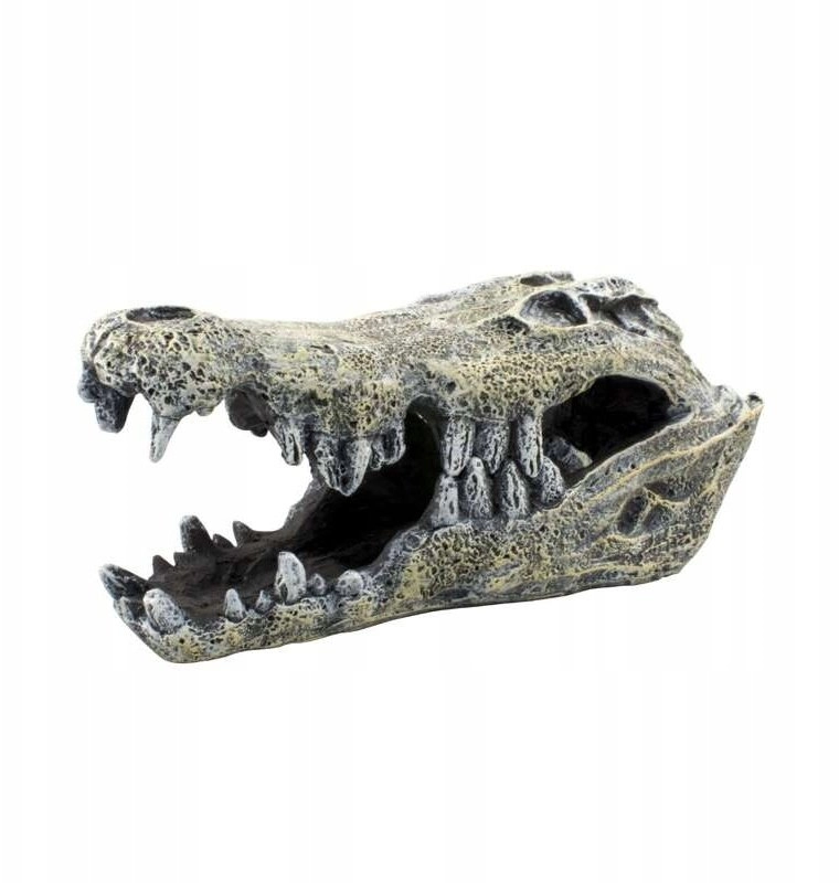 Terra Natura Dekoracja terrarystyczna kryjówka czaszka