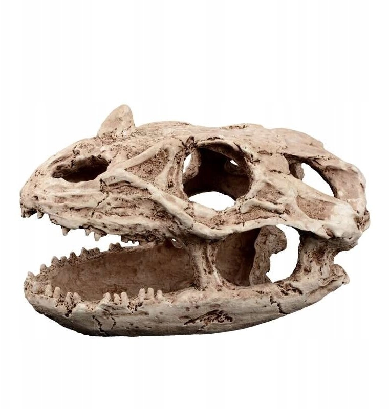 Terra Natura Dekoracja terrarystyczna kryjówka czaszka
