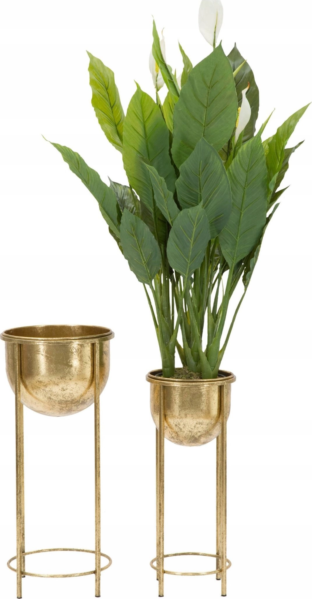 Ferretti Gold flower stands with pull-out