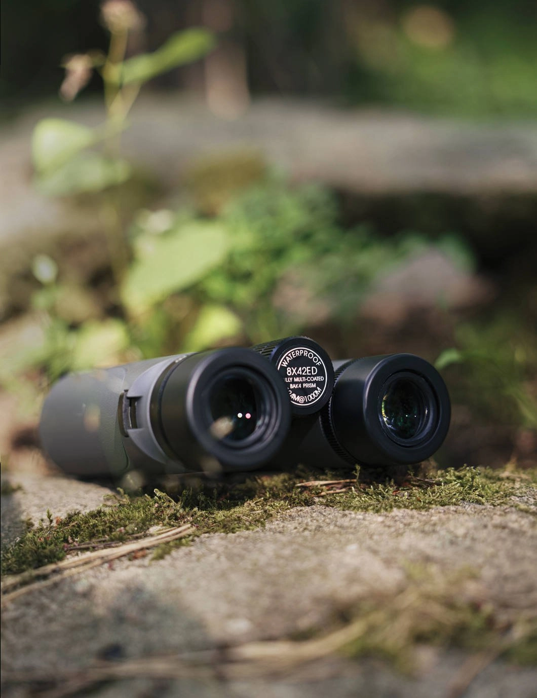Focus Observer 8x42 ED binoculars B1323