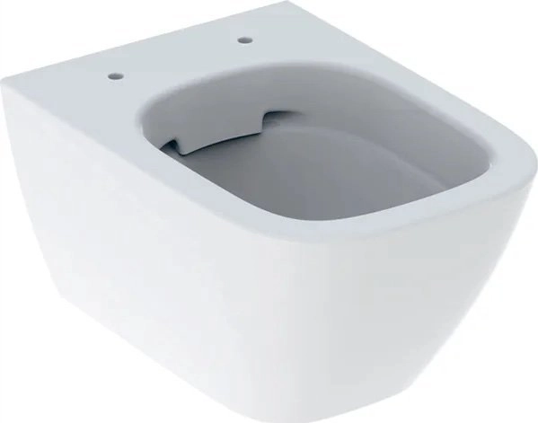 Geberit WC bowl Geberit funnel-shaped short