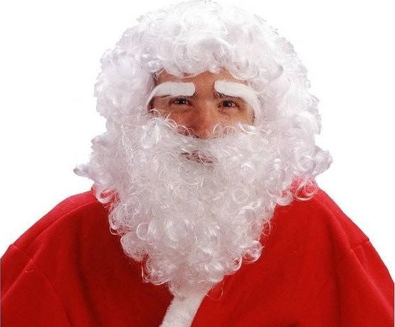 GoDan Santa wig with beard and