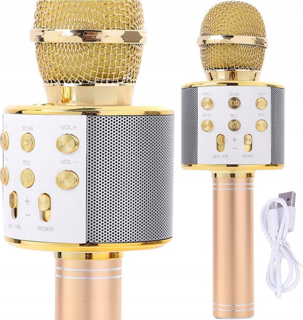 Gotel Q17D speaker KARAOKE SET 2