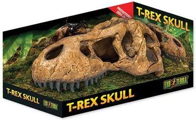 Hagen DINOSAUR SKULL DECORATION 1231002 VAT002273