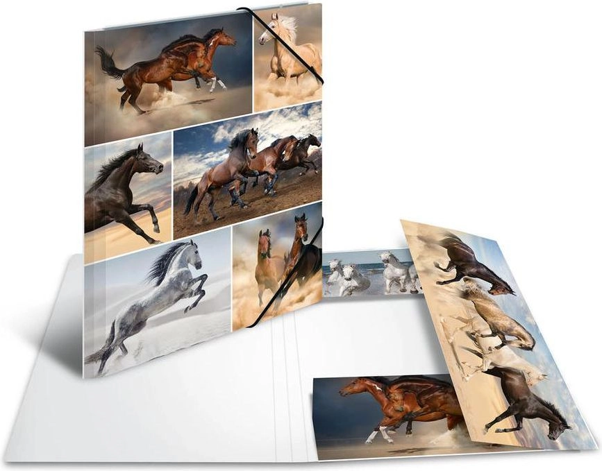 HERMA 19209 folder Cardboard Multicolour A4