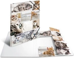 HERMA 19219 folder Cardboard Multicolour A3