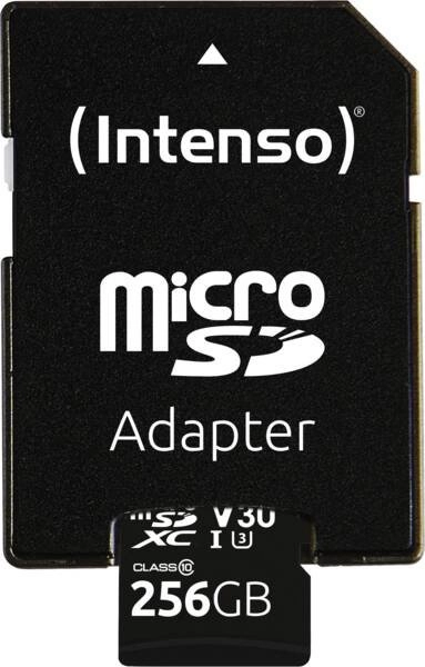 CARD Intenso UHS-I Professional 256 GB