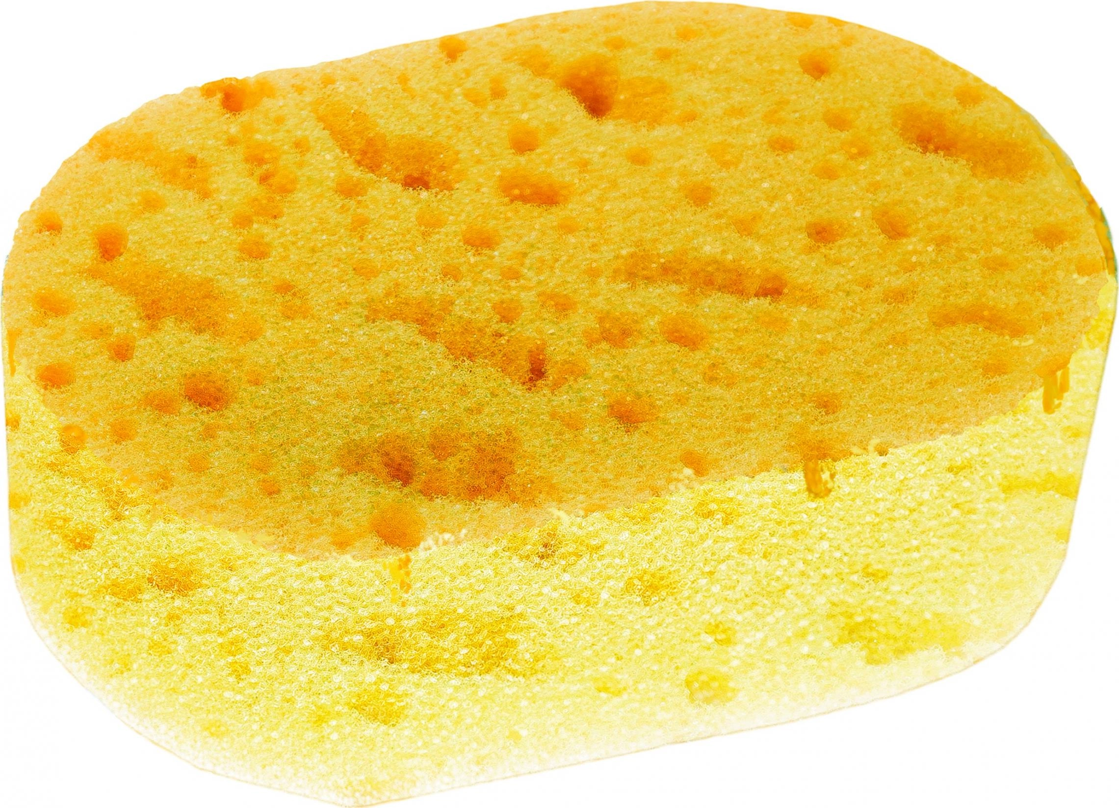 INTER-VION_Sponge for bathing and body peeling
