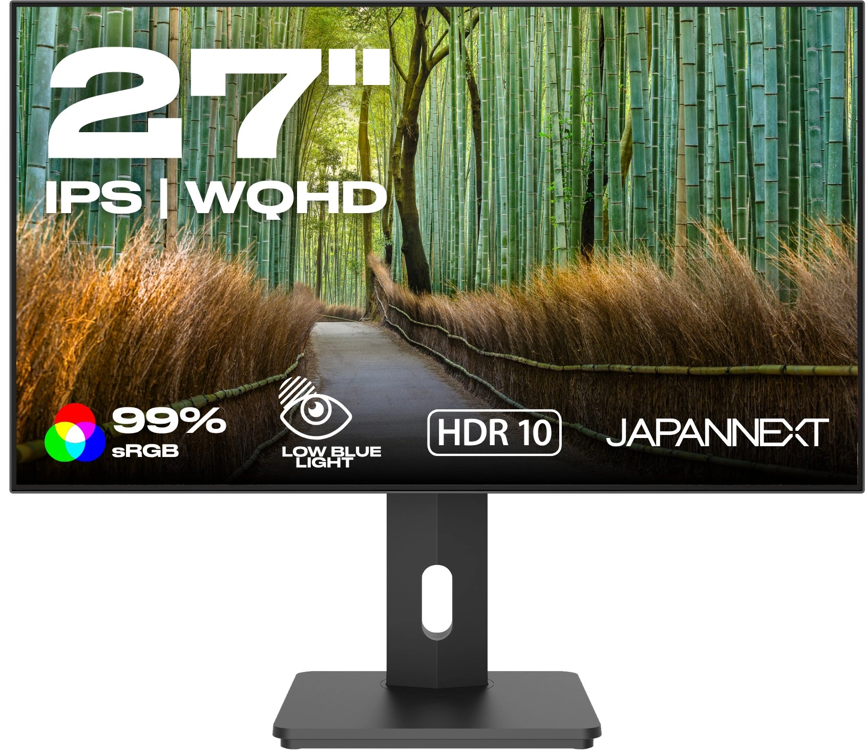 JapanNext WQHD Monitor 68 6cm (27"