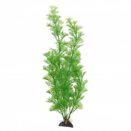 Aqua Natura   ro�lina  do dekoracji akwarium