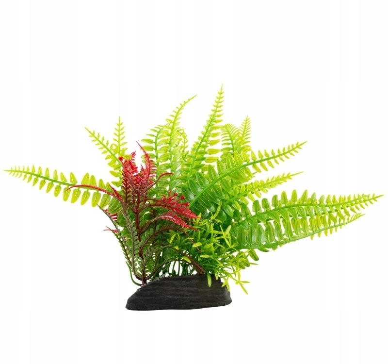 Aqua Natura  plant  for aquarium decoration