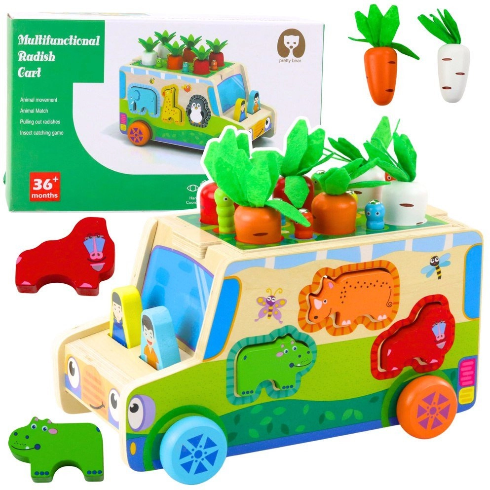 Educational Car Wooden Sorter Shapes Maze