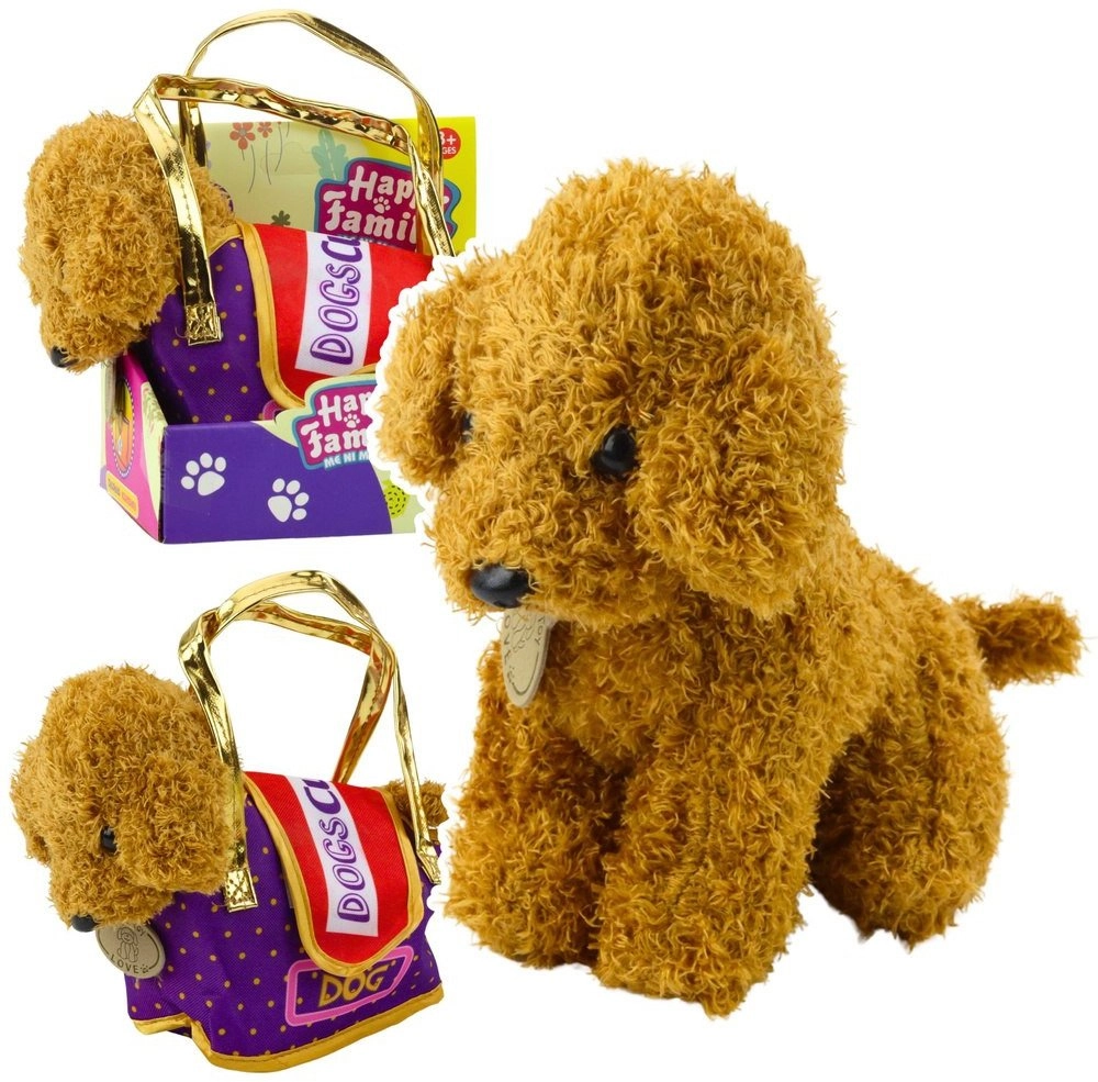 Poodle Dog In A Velcro Bag