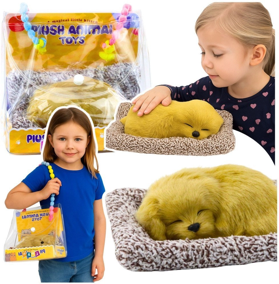 Sleeping Dog Labrador Puppy On A