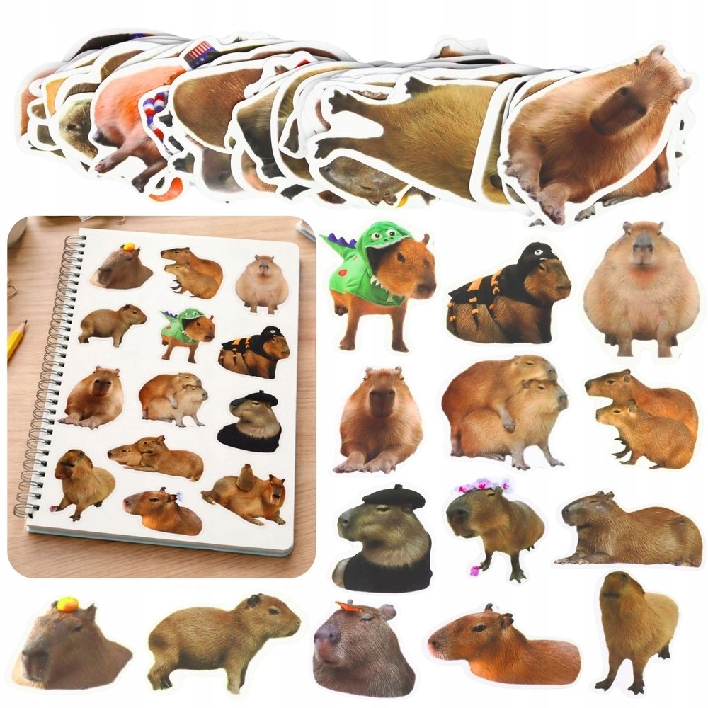 Set of Capybara Paper Stickers Real