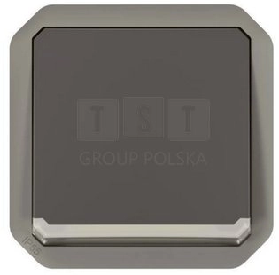 069803L NEW PLEXO 55 Stair switch