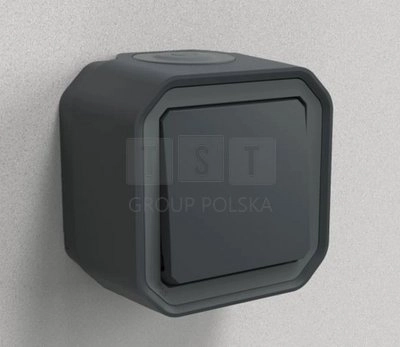 069761L NEW PLEXO 55 Stair switch