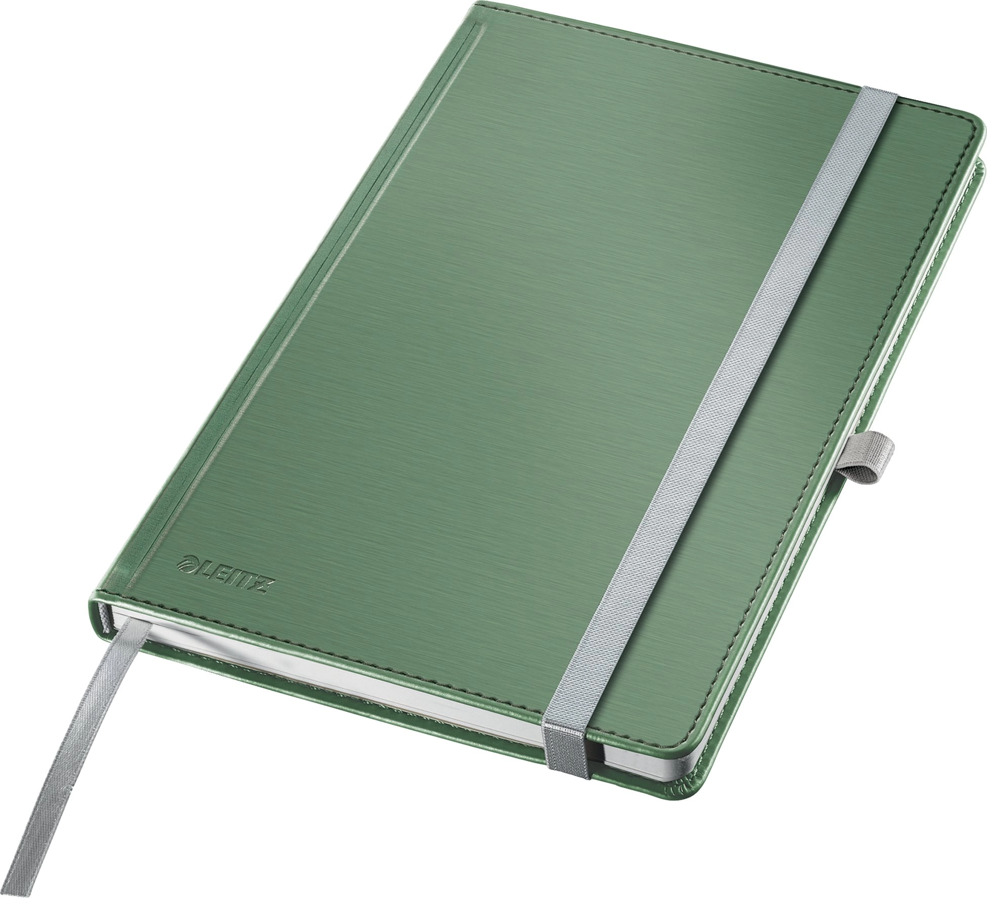 Leitz lined notebook with a celadon-colored