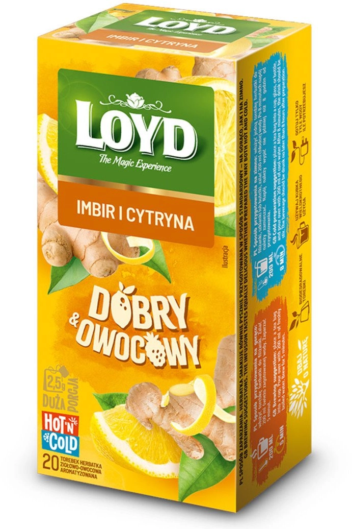 LOYD Hot and cold tea ginger