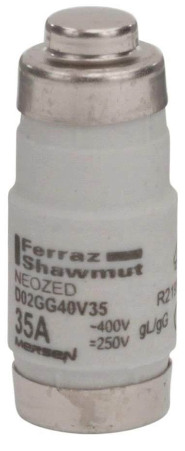 Fuse insert D02 gG 400VAC /250VDC