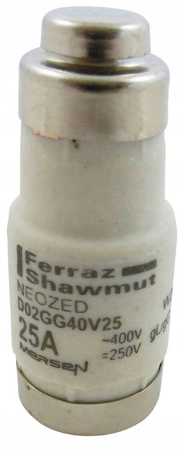 Fuse insert D02 gG 400VAC /250VDC