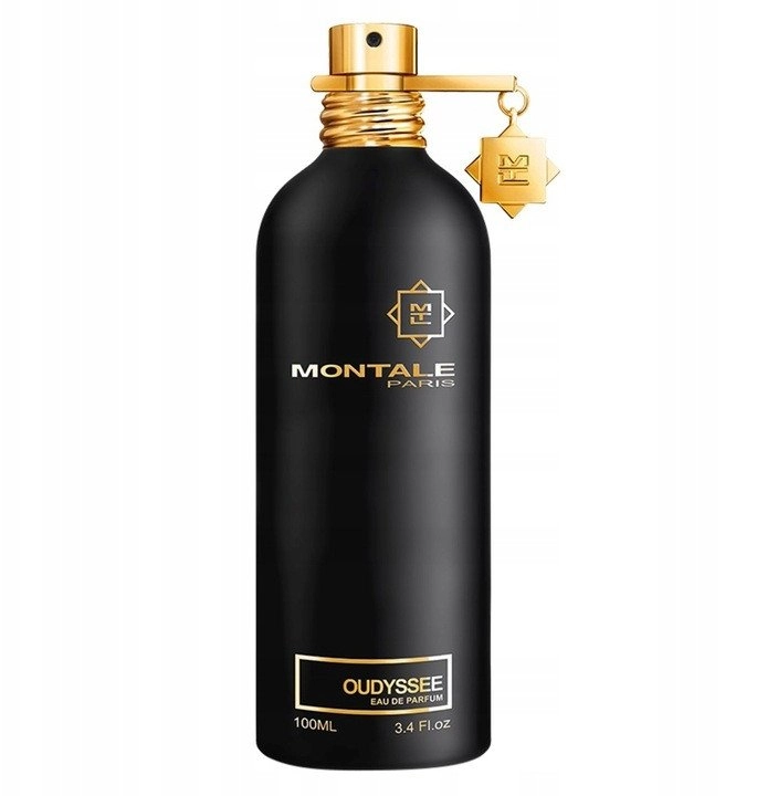 Montale Montale Oudyssee Edp 100ml 3760260458634