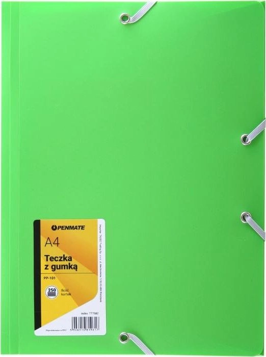 Penmate Teczka z gumką A4 PP-101