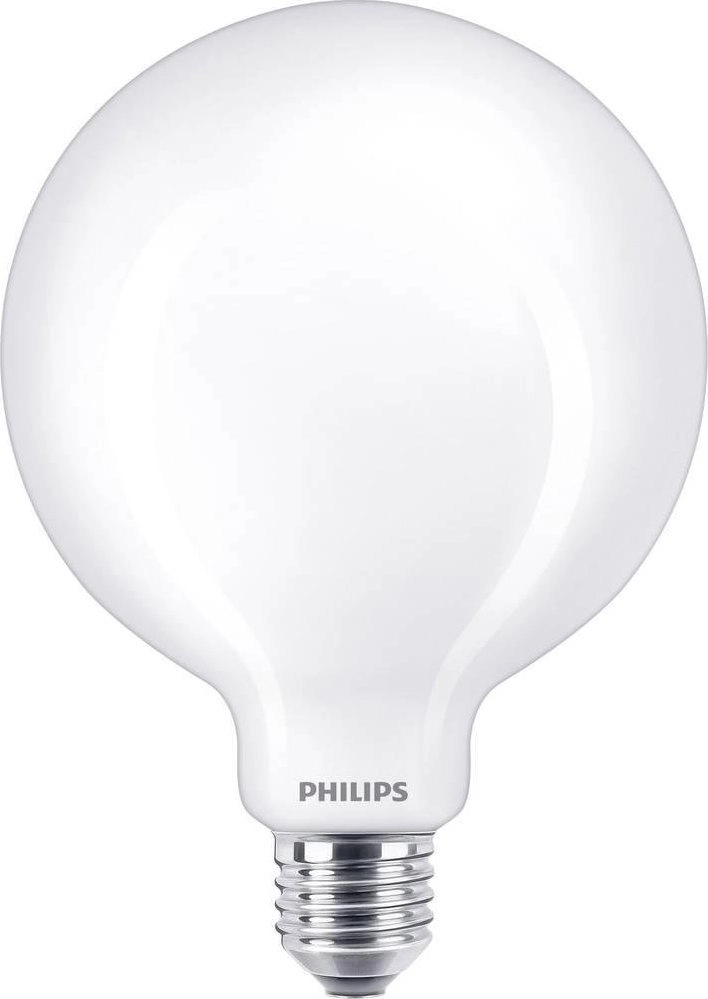 Philips Filament Bulb Frosted 100W G120