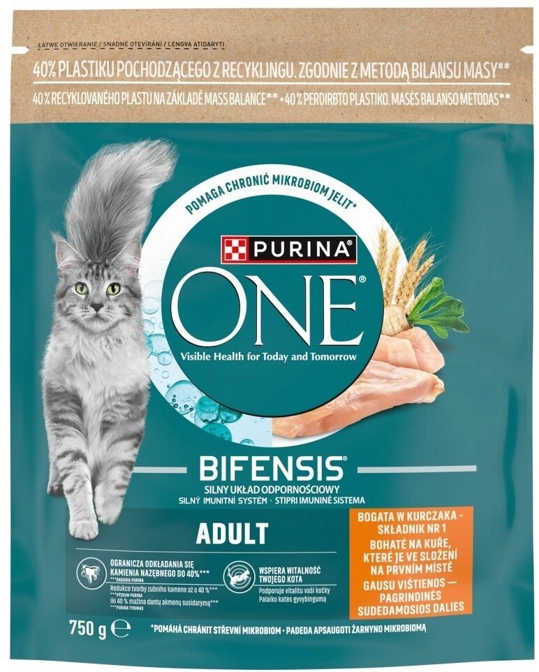 Purina Purina One Mini Active rich