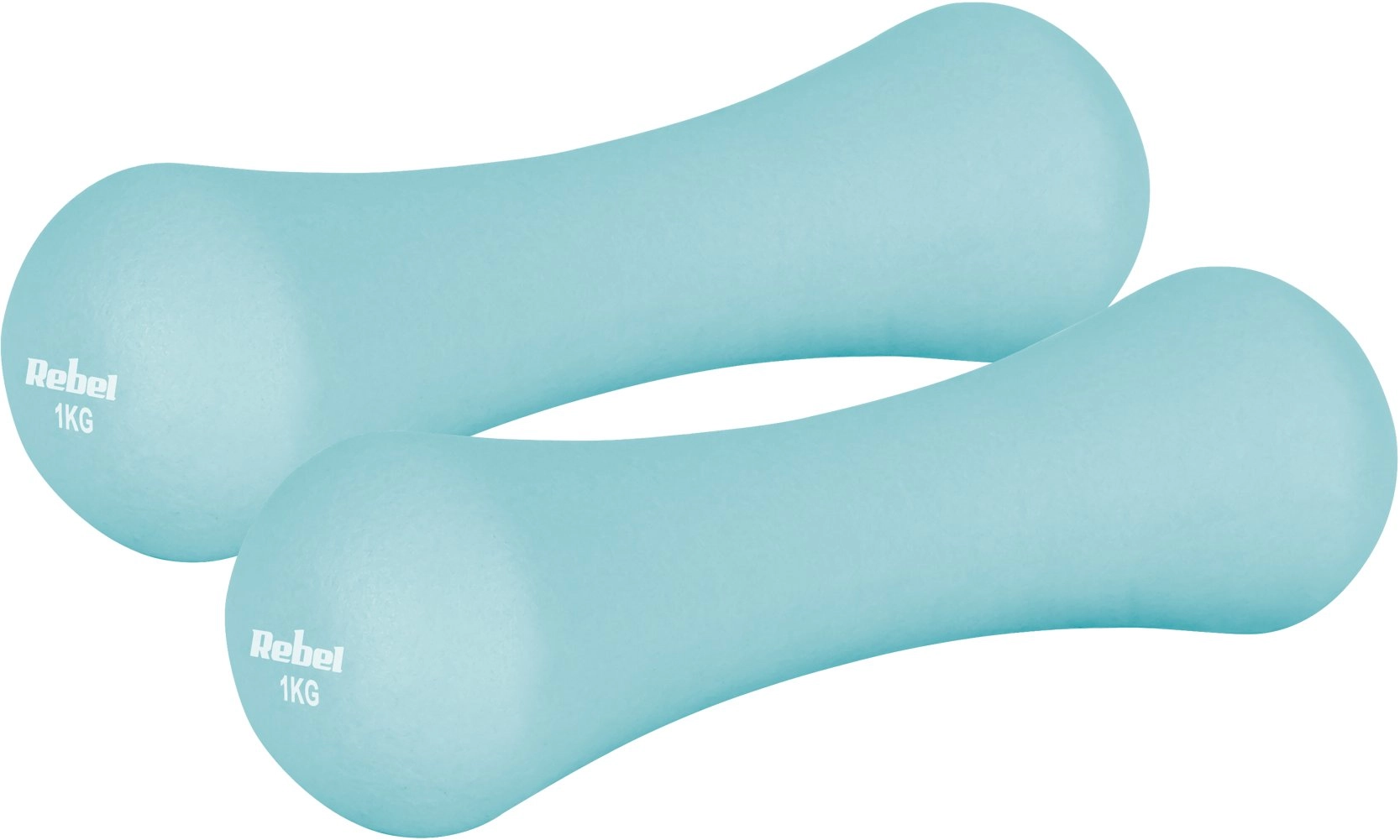 Neoprene cast iron dumbbells 2x1kg  REBEL
