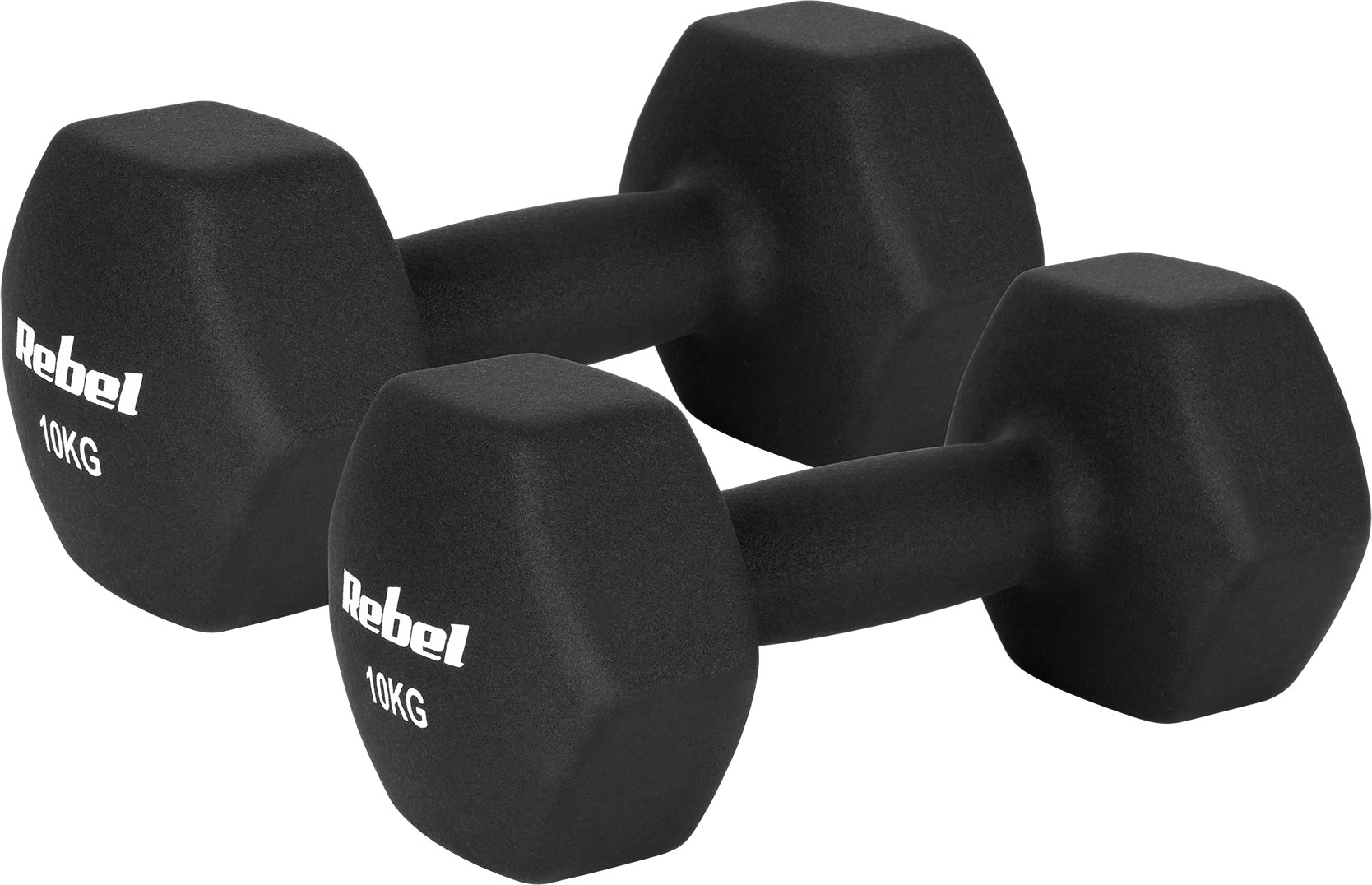 Neoprene cast iron dumbbells HEX 2x10kg