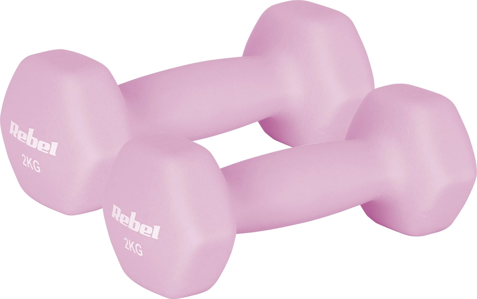 Neoprene cast iron dumbbells HEX 2x2kg