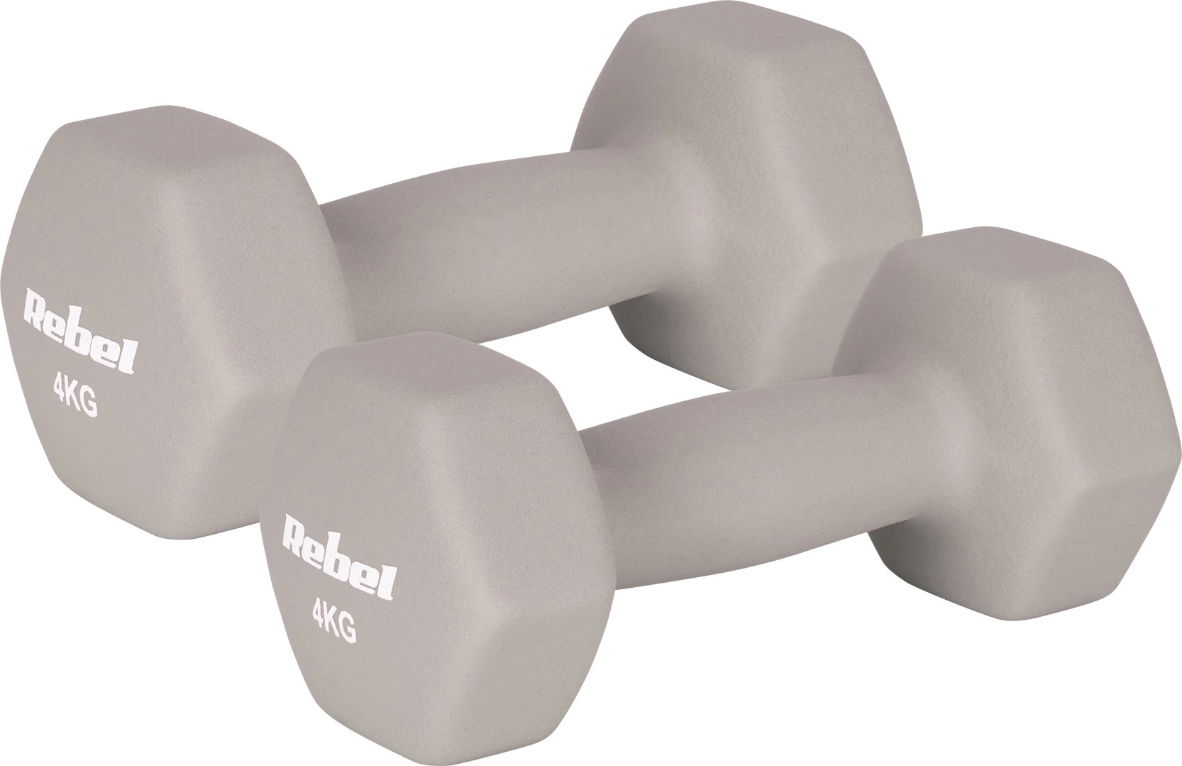 Neoprene cast iron dumbbells HEX 2x4kg