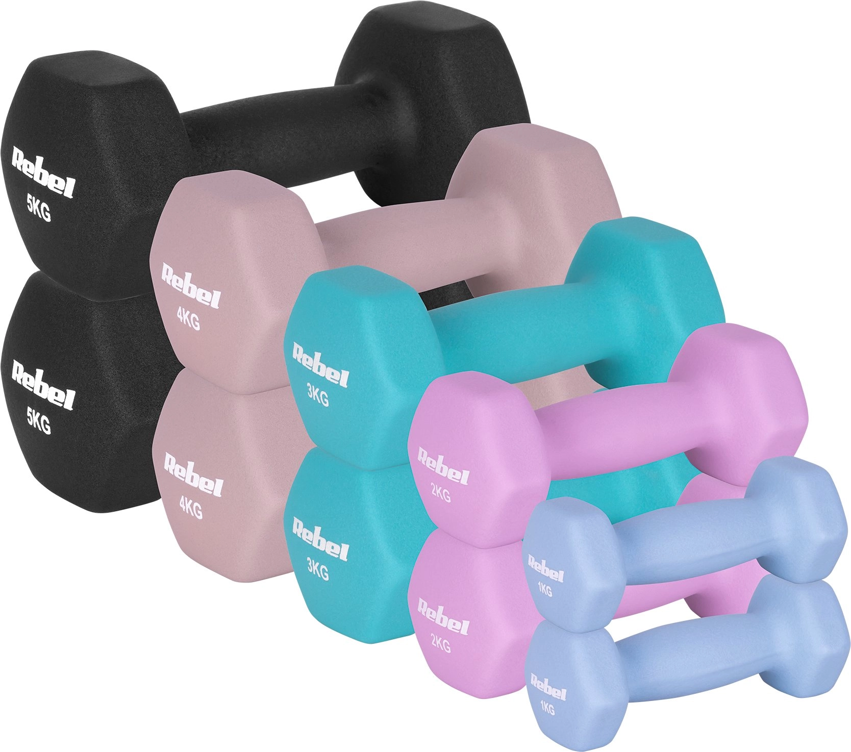 Neoprene cast iron dumbbells HEX set