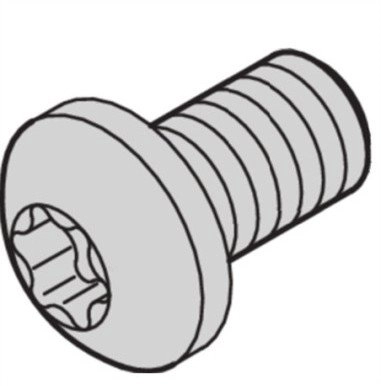 SCHROFF Phillips head screw  Torx  M2