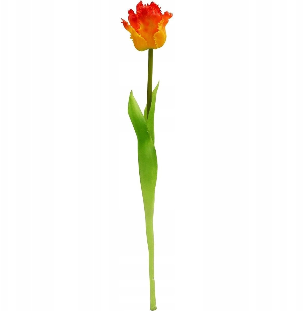 Saska Garden ORANGE TULIP 38CM LIKE
