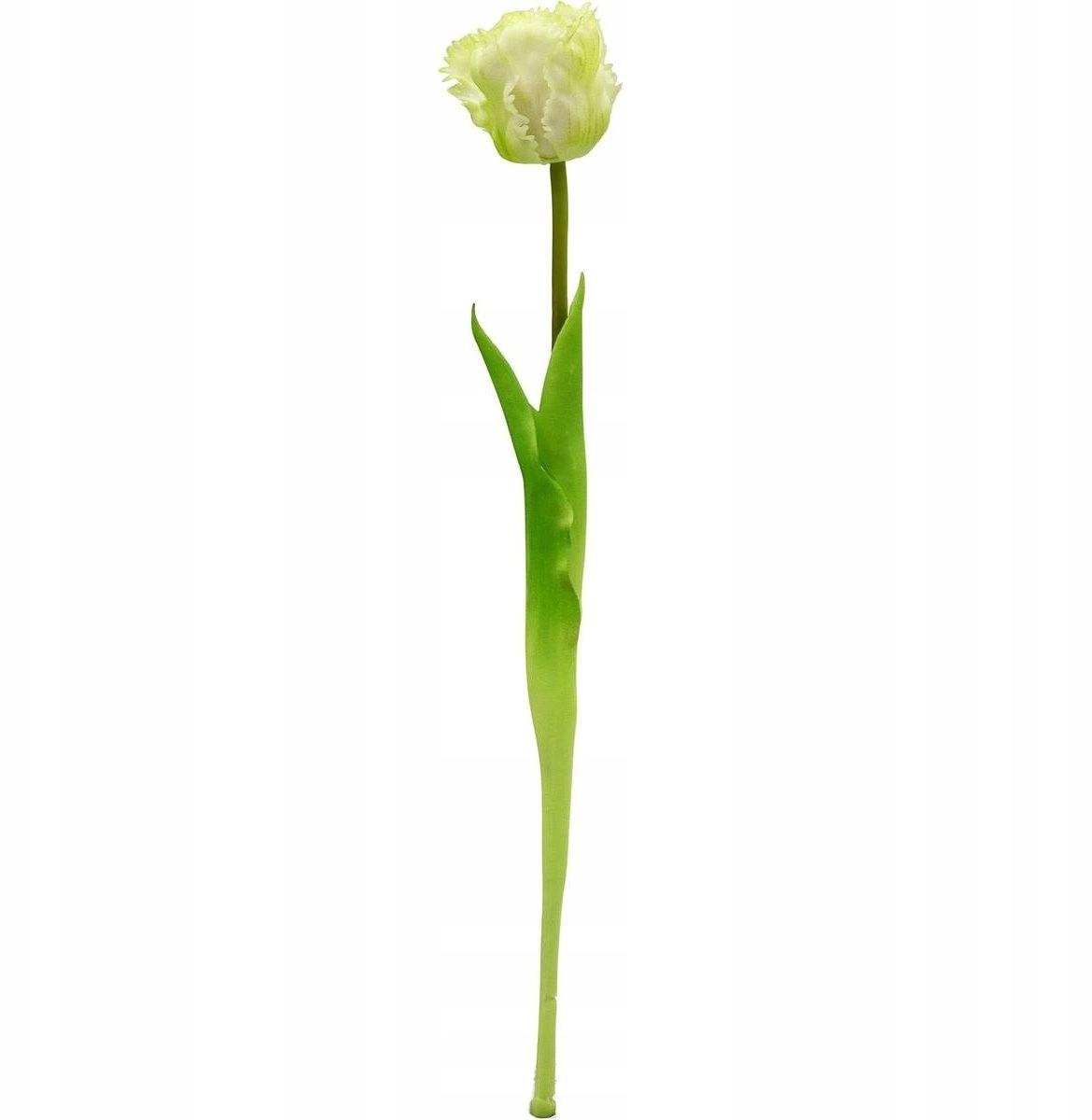 Saska Garden WHITE TULIP 38CM LIKE