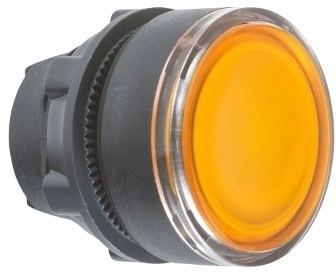 Covered orange illuminated button head fi22