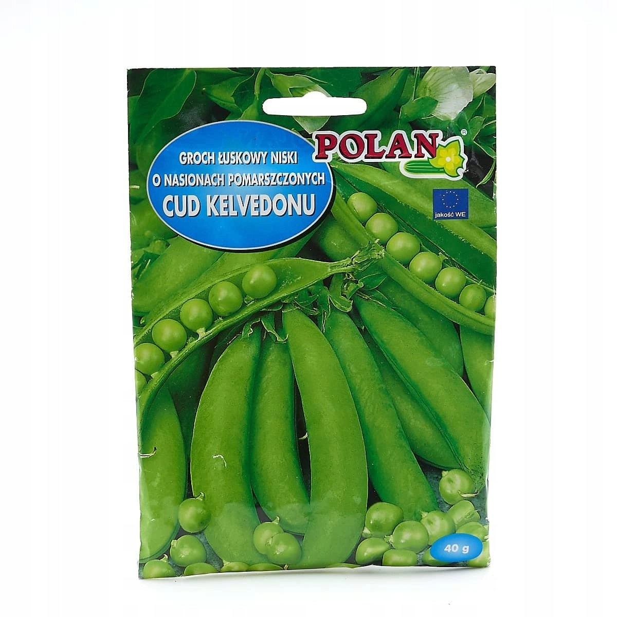 PLATINET NASIONA GROCH SIEWNY CUD KELVEDONU