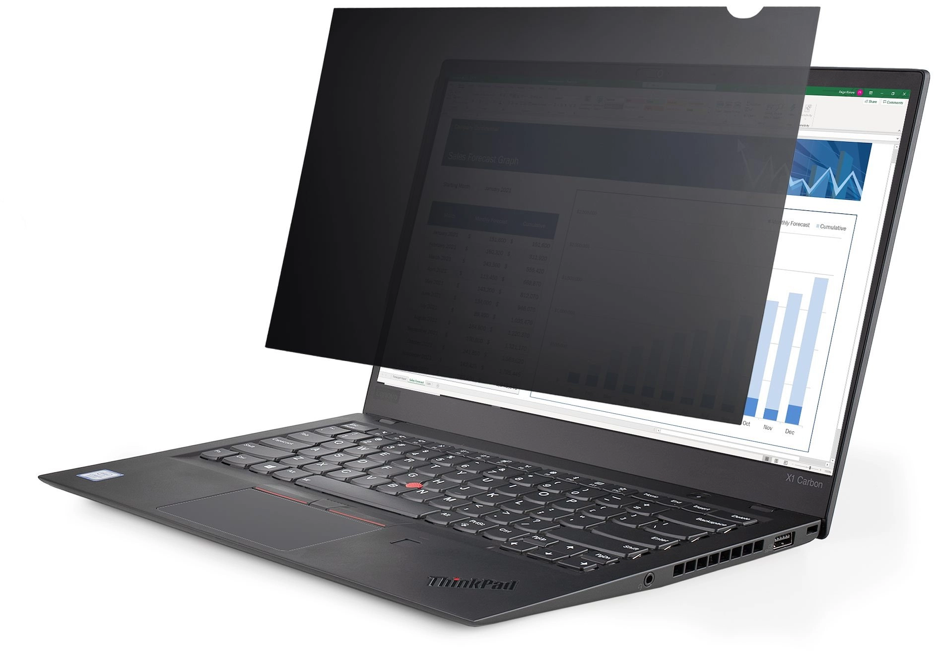StarTech.com 17.3-inch 16:9 Laptop