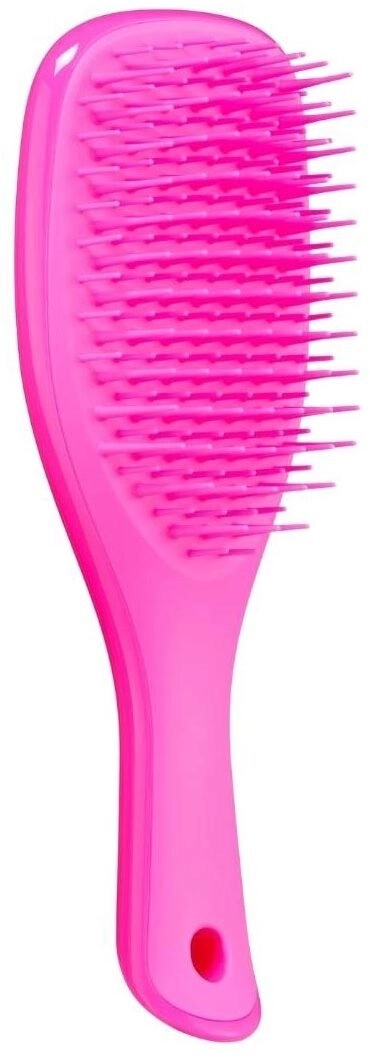 Tangle Teezer Detangling Mini Hairbrush kartáč