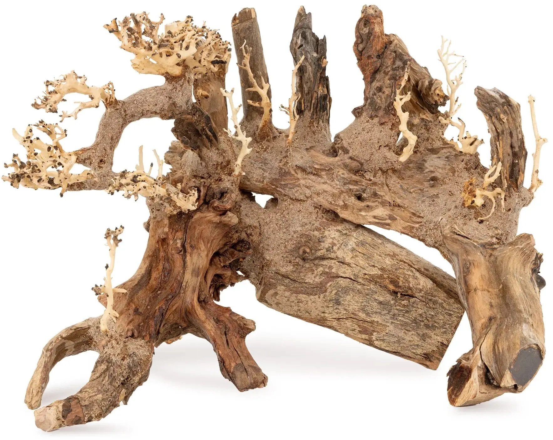 Tonące drzewo Bonsai nr 50 60x40